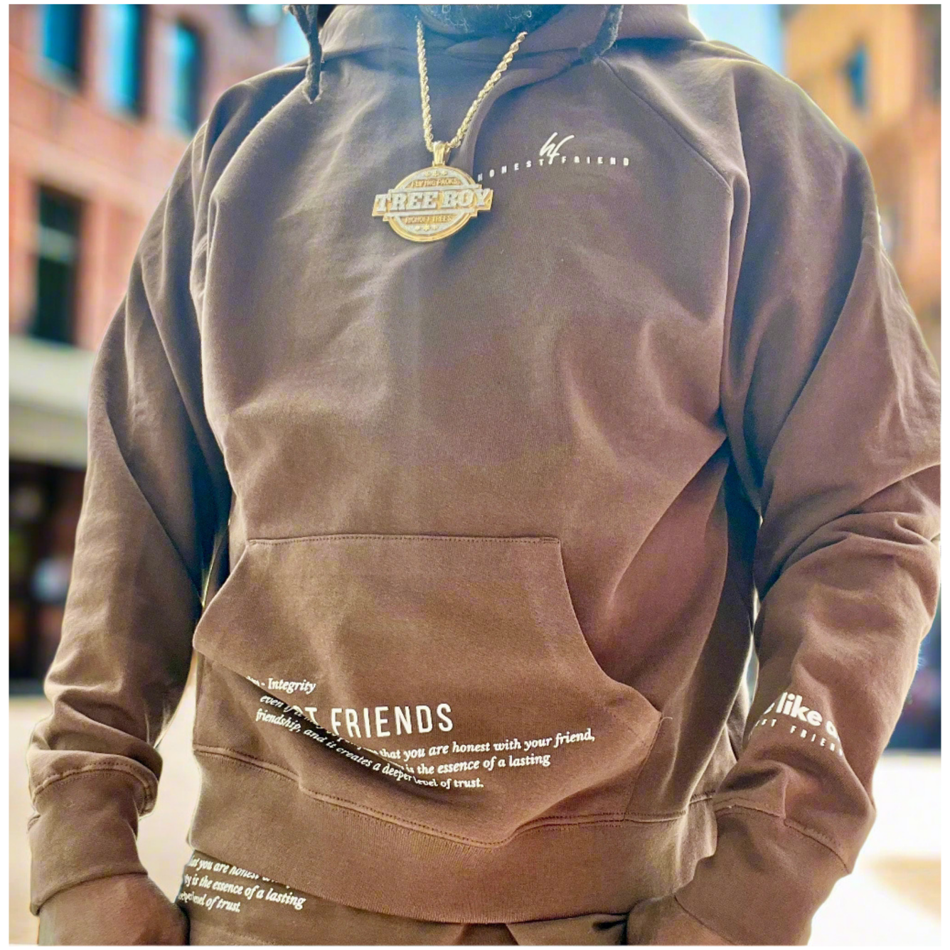 Brown Honest Friend hoodie with text and a gold necklace worn by a person, with a blurred background.